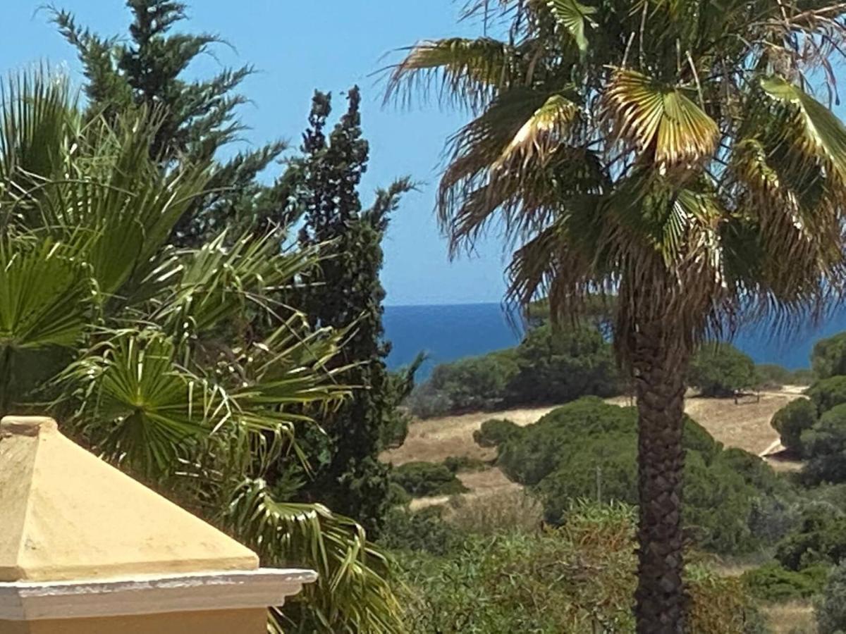 Villa "Oasis"- C Albufeira Exterior photo